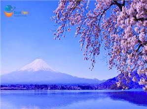 Tour Nhật Bản Khám Phá Shinhotaka Ropeway Mùa Hoa Anh Đào